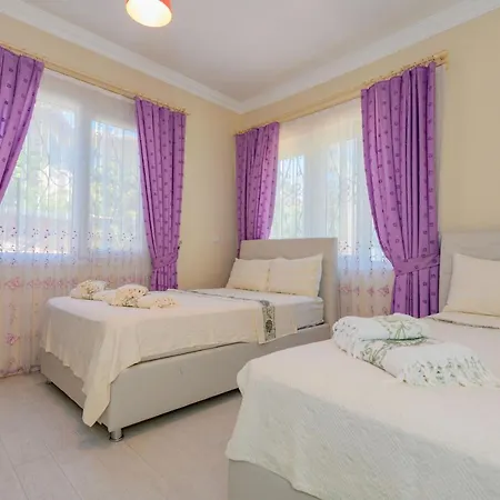 度假居 Nergis Tatil Evi 费特希耶